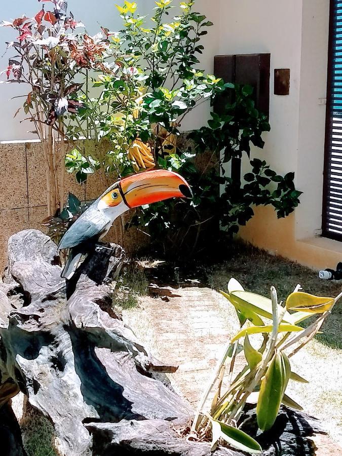 Pousada Deus E Fiel Cachoeira Paulista Kültér fotó